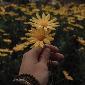 Meet your Posher, Hailey